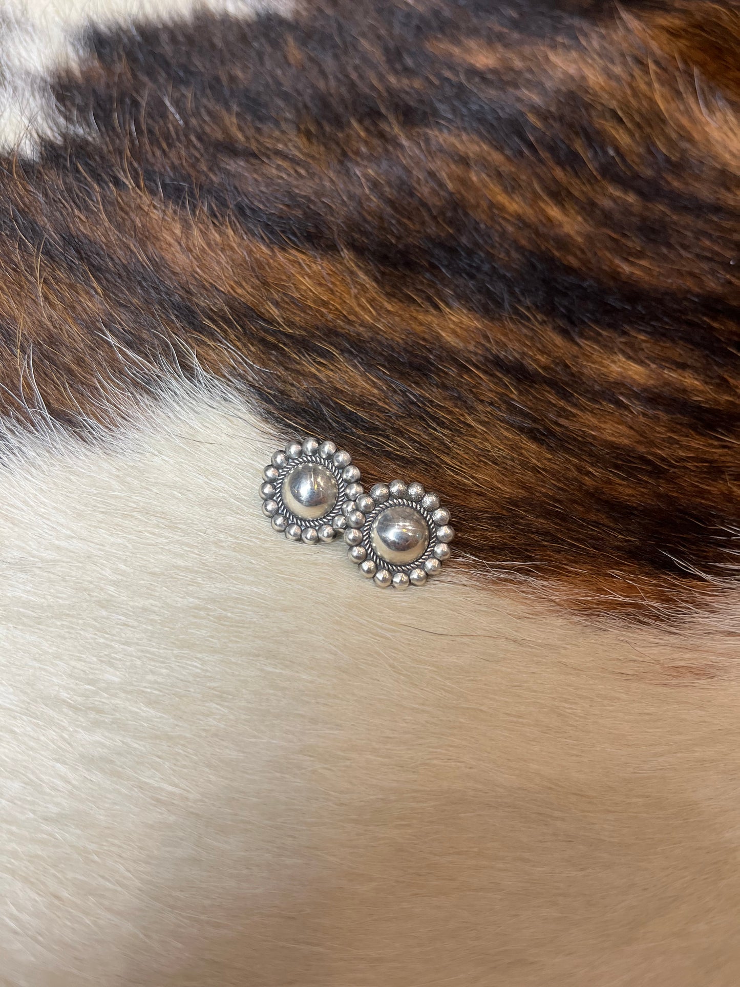 Simple Larger Conchos