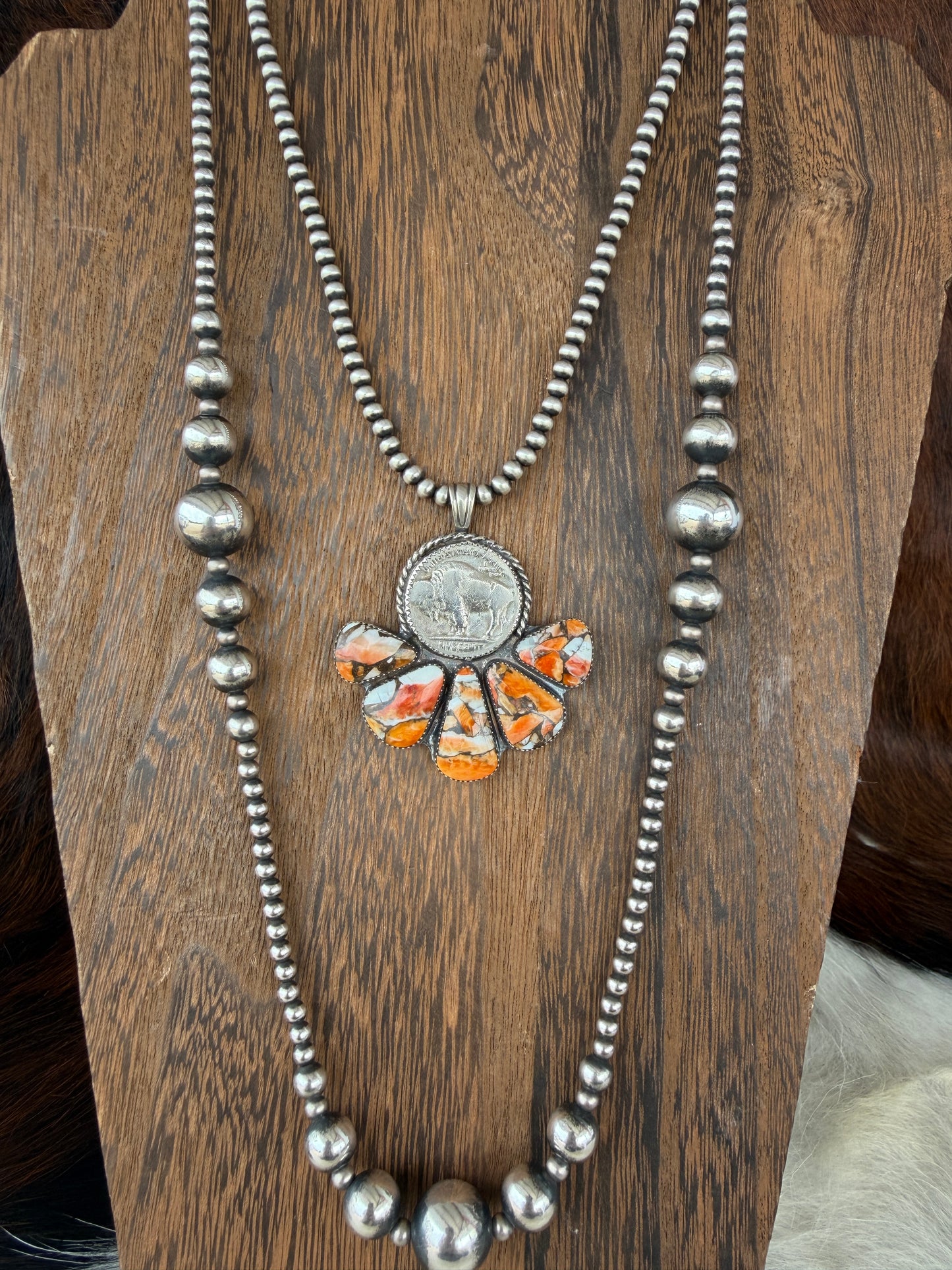Orange Spiny Buffalo Coin🧡