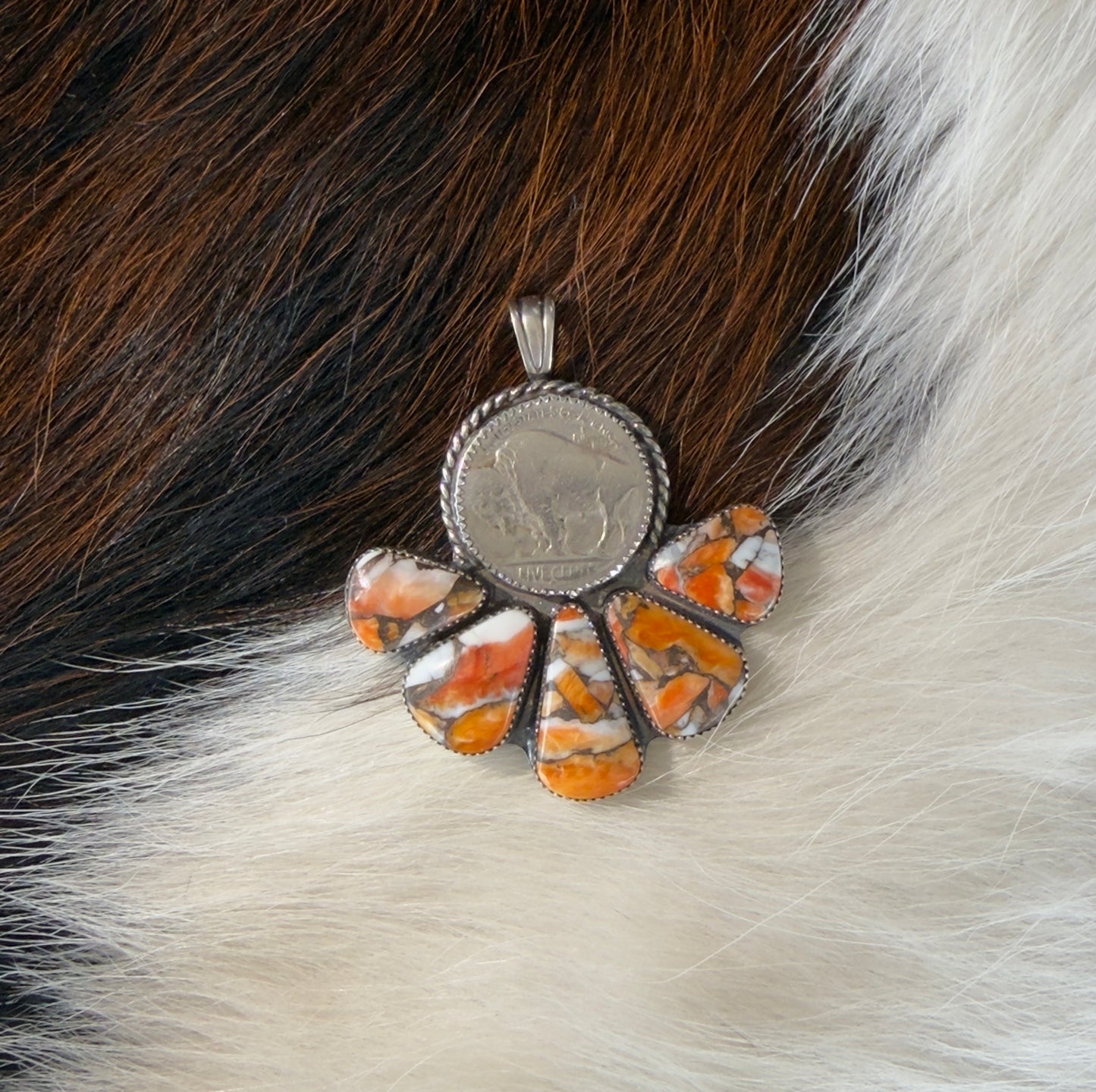 Orange Spiny Buffalo Coin🧡