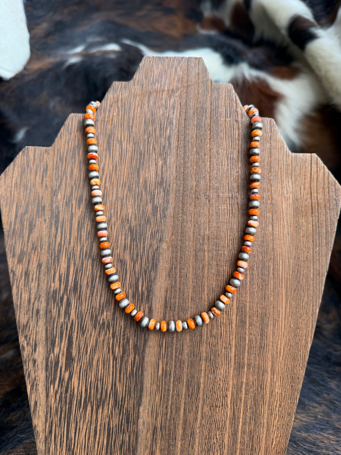 Orange spiny on pearls ￼